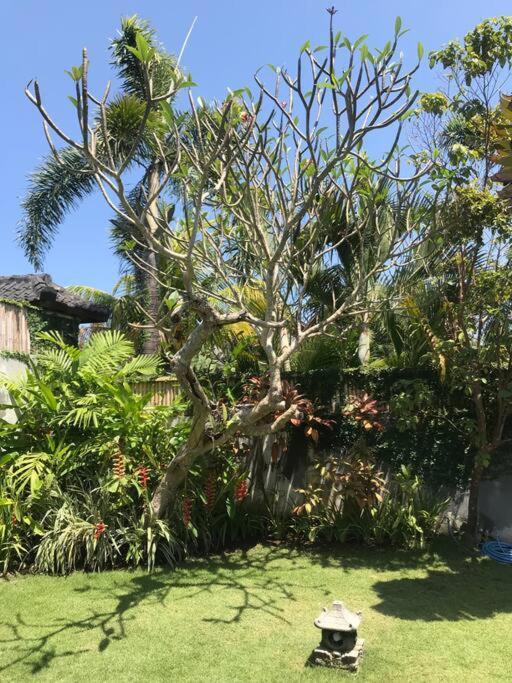 Desa Naga Villa Canggu Kültér fotó
